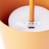 Lampe à poser Brilliant Kaami LED Orange, 1 lumière