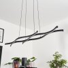 Suspension Fuliola LED Noir, 1 lumière