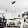 Suspension Fuliola LED Noir, 1 lumière