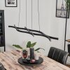 Suspension Fuliola LED Noir, 1 lumière
