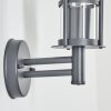 Applique murale d'extérieur Forli Anthracite, 1 lumière