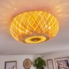 Plafonnier Bauro Laiton, 2 lumières
