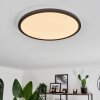 Plafonnier Boyero LED Noir, 2 lumières, Télécommandes, Changeur de couleurs