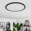 Plafonnier Boyero LED Noir, 2 lumières, Télécommandes, Changeur de couleurs