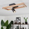 Plafonnier Fairburn LED Brun, Couleur bois, Noir, 2 lumières