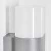 Applique murale d'extérieur Belerda LED Gris, 2 lumières, Détecteur de mouvement