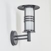 Applique murale d'extérieur Forli Anthracite, 1 lumière