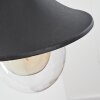 Applique murale d'extérieur Brilliant Berna Transparent, 1 lumière