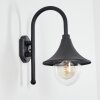 Applique murale d'extérieur Brilliant Berna Transparent, 1 lumière