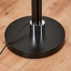 Lampadaire Coquimbito LED Noir, 1 lumière