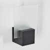 Applique murale d'extérieur Aasbo LED Noir, 1 lumière Applique murale d'extérieur Aasbo LED Noir, 1 lumière
