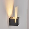 Applique murale d'extérieur Aasbo LED Noir, 1 lumière Applique murale d'extérieur Aasbo LED Noir, 1 lumière