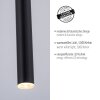 Suspension Paul Neuhaus FLUTE LED Noir, 1 lumière