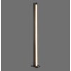 Lampadaire Paul Neuhaus PURELINES LED Écru, 1 lumière, Télécommandes