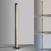 Lampadaire Paul Neuhaus PURELINES LED Écru, 1 lumière, Télécommandes