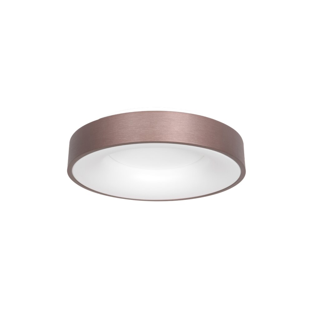 Plafonnier Steinhauer Ringlede, 1 lumière main product photo