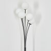 Lampadaire Bernado Noir, 5 lumières