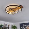 Plafonnier Gauvin LED Brun, Couleur bois, Noir, 1 lumière