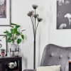 Lampadaire Bernado Noir, 5 lumières