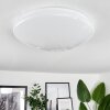 Plafonnier Melres LED Blanc, 1 lumière, Télécommandes