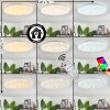 Plafonnier Esgos LED Blanc, 1 lumière, Télécommandes