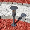 Borne lumineuse Fushun Anthracite, 1 lumière