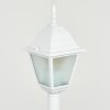 Borne lumineuse Naofe Blanc, 1 lumière