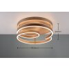 Plafonnier Trio Marnie LED Brun, 1 lumière