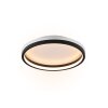 Plafonnier Reality HIKO LED Noir, 2 lumières, Télécommandes