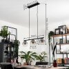 Suspension Gastor Clair, Fumé, 3 lumières