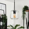 Suspension - Verre Lauden Clair, 1 lumière