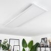 Plafonnier Voisines LED Blanc, 1 lumière, Télécommandes