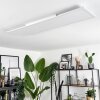 Plafonnier Voisines LED Blanc, 1 lumière, Télécommandes