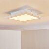 Plafonnier Voisines LED Blanc, 1 lumière, Télécommandes, Changeur de couleurs