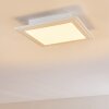 Plafonnier Voisines LED Blanc, 1 lumière, Télécommandes, Changeur de couleurs