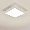 Plafonnier Voisines LED Blanc, 1 lumière, Télécommandes, Changeur de couleurs
