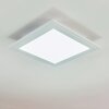 Plafonnier Voisines LED Blanc, 1 lumière, Télécommandes, Changeur de couleurs