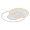 Plafonnier Globo RODERICK LED Blanc, 1 lumière, Télécommandes