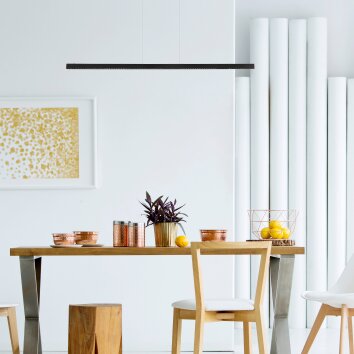 Suspension Globo DENTSY LED Noir, 1 lumière