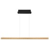 Suspension Globo DENTSY LED Noir, 1 lumière
