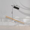 Suspension Globo DENTSY LED Noir, 1 lumière