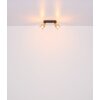 Plafonnier Globo HOLLSY Noir, 2 lumières