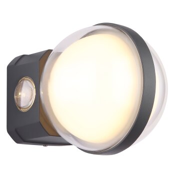 Applique murale d'extérieur Globo ILLI LED Anthracite, 1 lumière