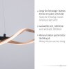 Suspension Paul Neuhaus POLINA LED Noir, 1 lumière