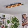 Plafonnier Favorina LED Écru, Noir, 1 lumière