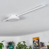 Plafonnier Amdal LED Blanc, 2 lumières