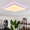Plafonnier Hotinhas LED Blanc, 1 lumière, Télécommandes, Changeur de couleurs