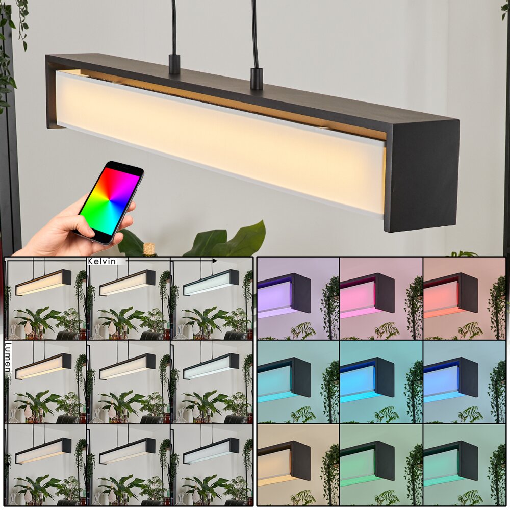 Suspension Siders LED Noir, 1 lumière, Changeur de couleurs main product photo