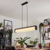 Suspension Siders LED Noir, 1 lumière, Changeur de couleurs