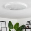 Plafonnier Benifla LED Blanc, 1 lumière, Télécommandes